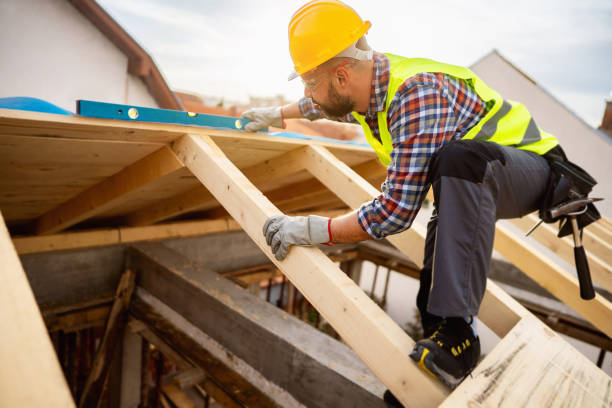 Best Roof Gutter Cleaning  in Tracy City, TN